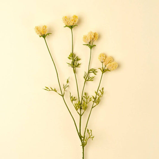 Dandelion Pom Pom Spray, Cream