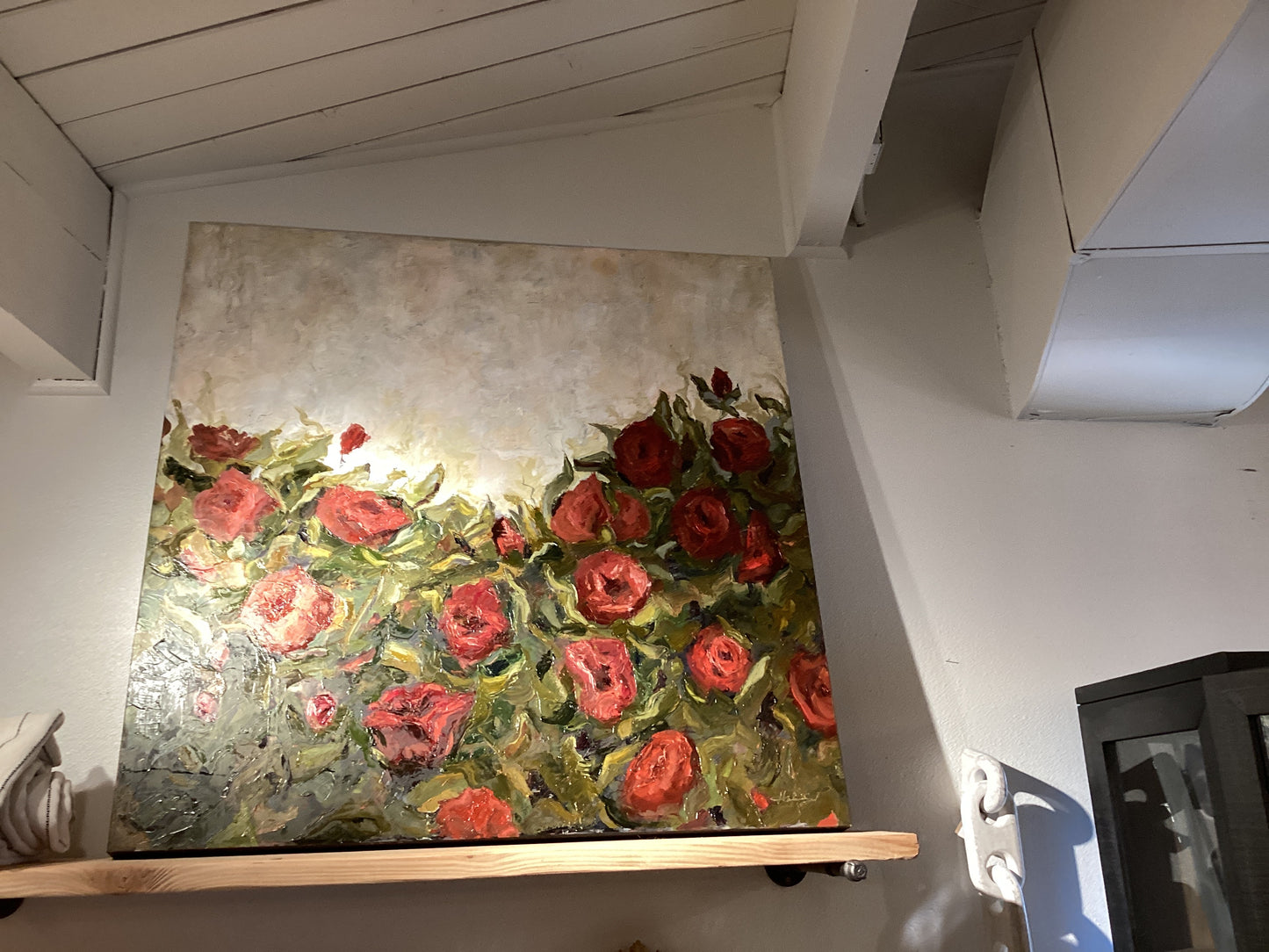 Field of roses