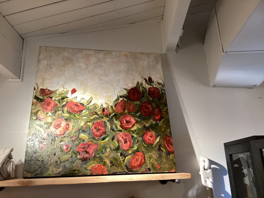 Field of roses