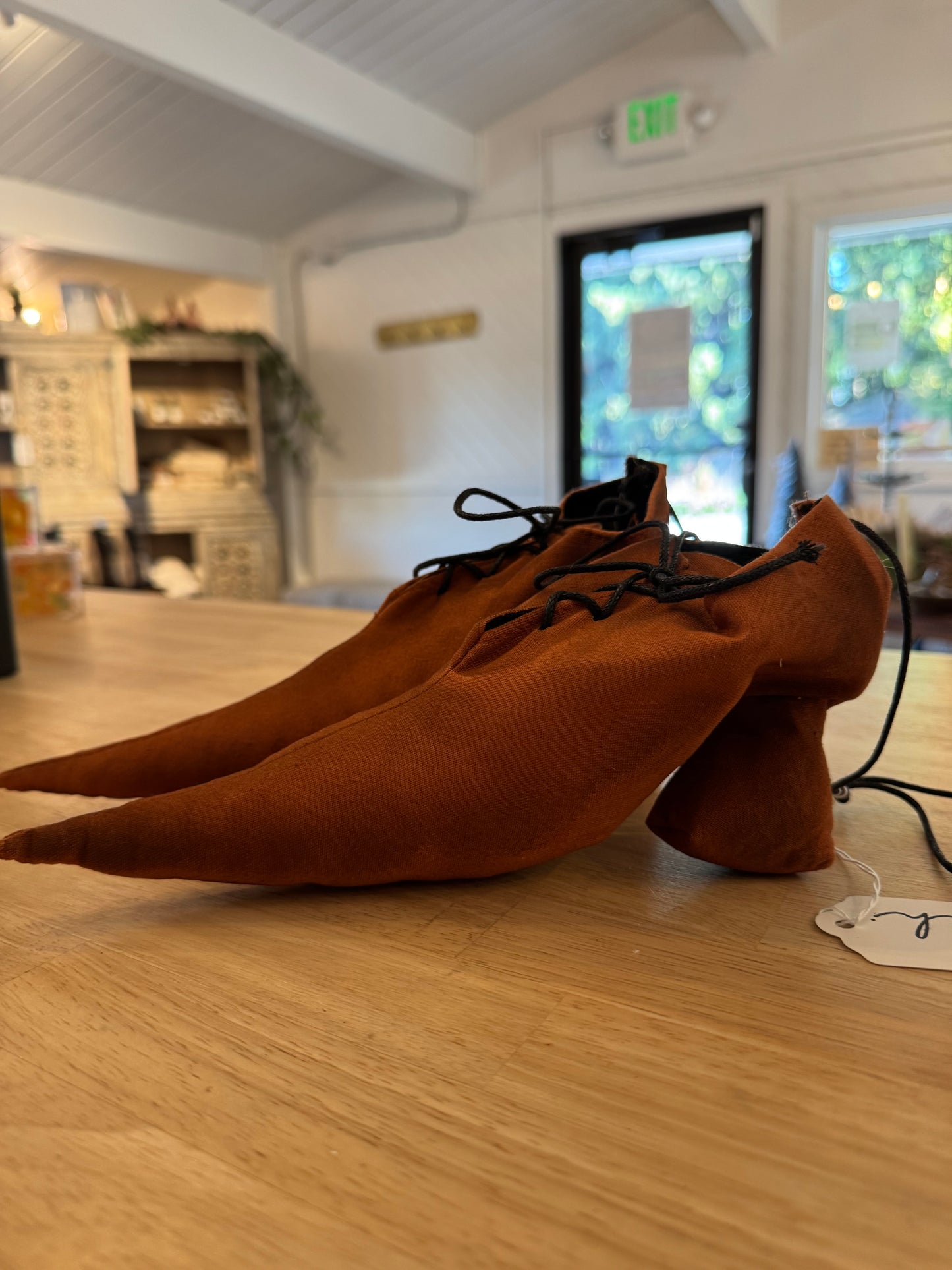 Witch Shoe