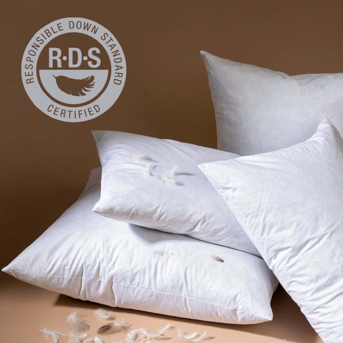 16x24 Velvet Cultivate Pillow